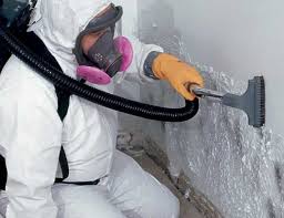 Best Real Estate Mold Inspection in USA